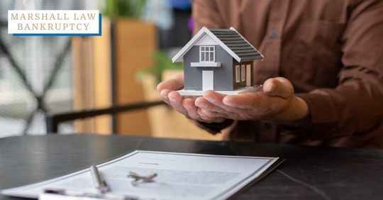 bankruptcy and assets